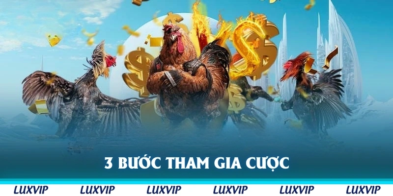3 bước tham gia cược