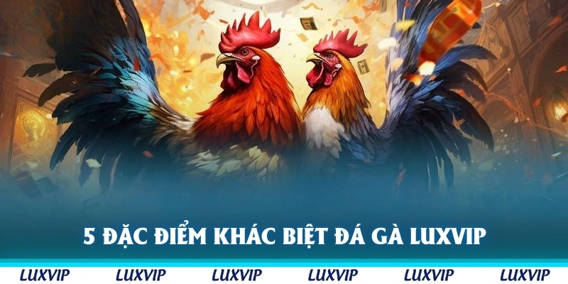 5 đặc điểm khác biệt của đá gà Luxvip