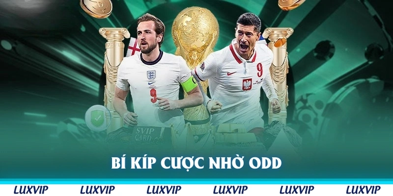 Bí kíp cược nhờ odd