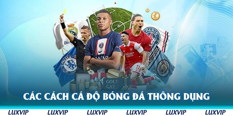 Các cách cá độ bóng đá thông dụng trên thị trường