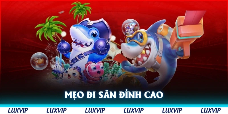 Mẹo đi săn đỉnh cao