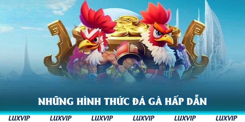 Những hình thức đá gà Luxvip hấp dẫn với nhiều trận đấu