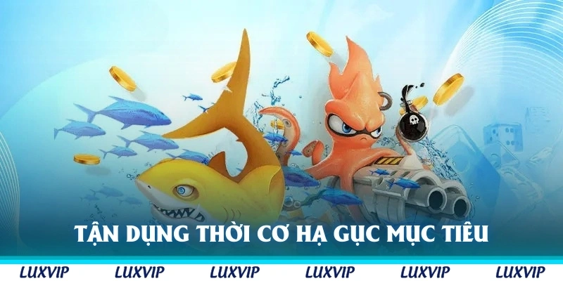Tận dụng đúng thời cơ để hạ gục mục tiêu nhanh chóng