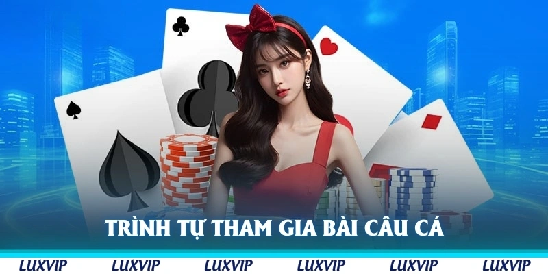 Trình tự tham gia bài câu cá nên tham khảo